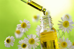 Chamomile Essential Oil For Hair Growth