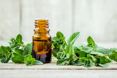 An empty amber-colored bottle sitting on a wooden table with mint leaves all around it