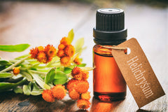 Helichrysum Essential Oil for hair growth