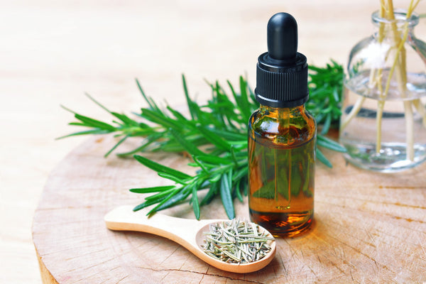 An amber-colored bottle sit on a tree stump next to leaves of Rosemary and a wooden spoon of dried Rosemary